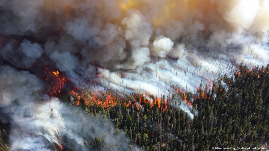 Alder Fire in Yellowstone NP 2013 credit Mike Lewelling National Park Se...