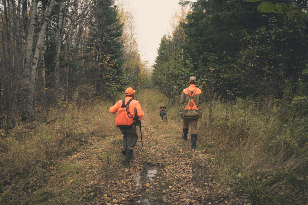 ruffed grouse hunting in Minnesota