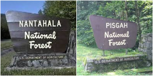 Nantahala and Pisgah National Forest