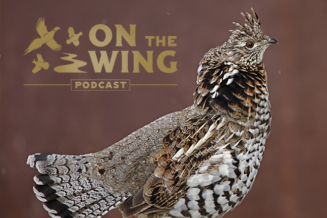 on-the-wing-podcast