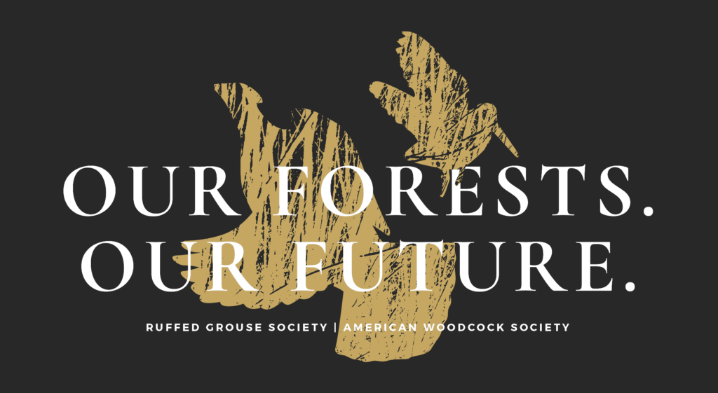 our-forests-our-future