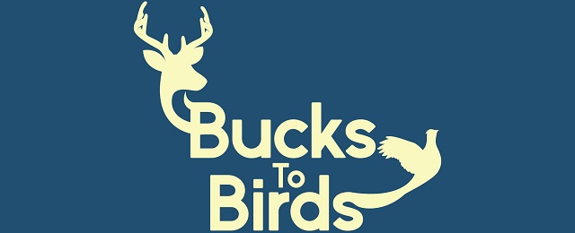 bucks-to-birds