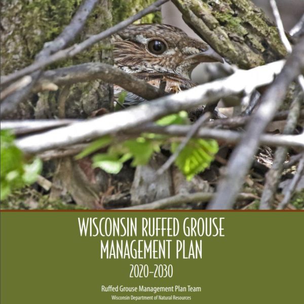 Wisconsin Approves Ruffed Grouse Management Plan RGS