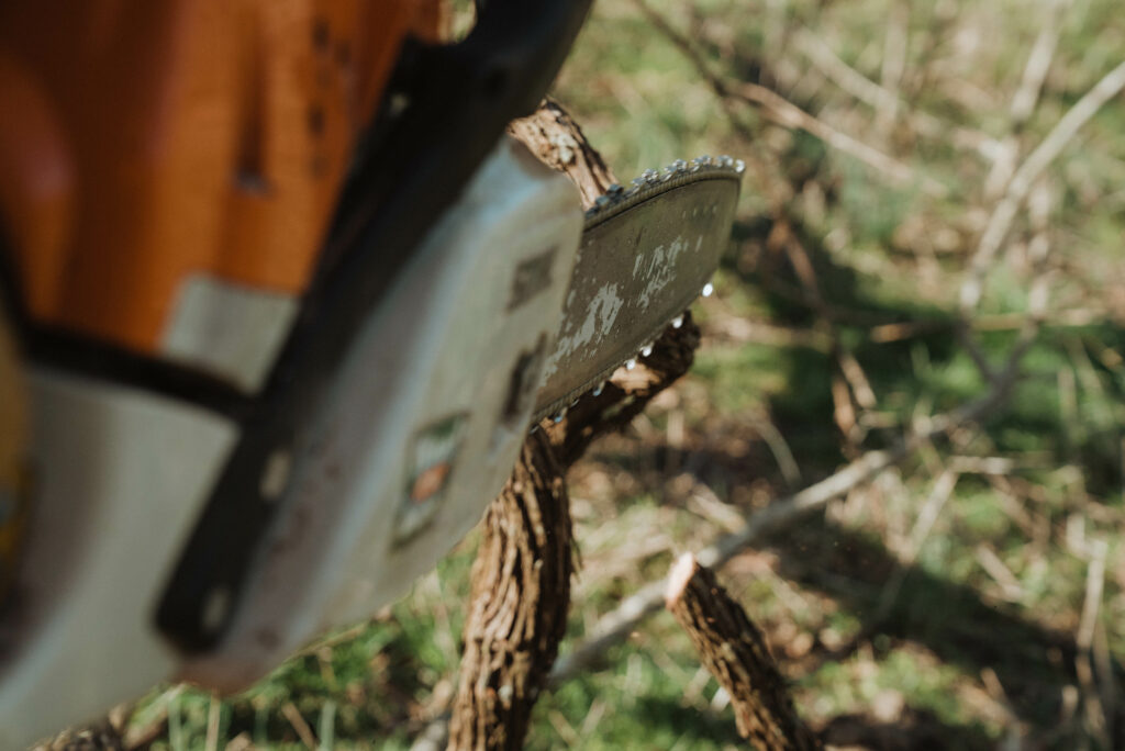 chainsaw cutting a tree