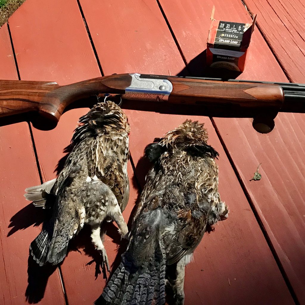 Grouse hunting with a short barrel shotgun : r/canadaguns