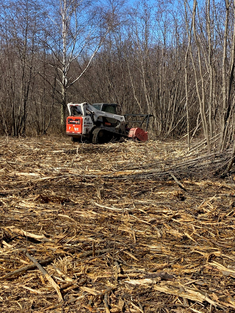 McMillan-RGS-2021-alder-mowing-2-(1)