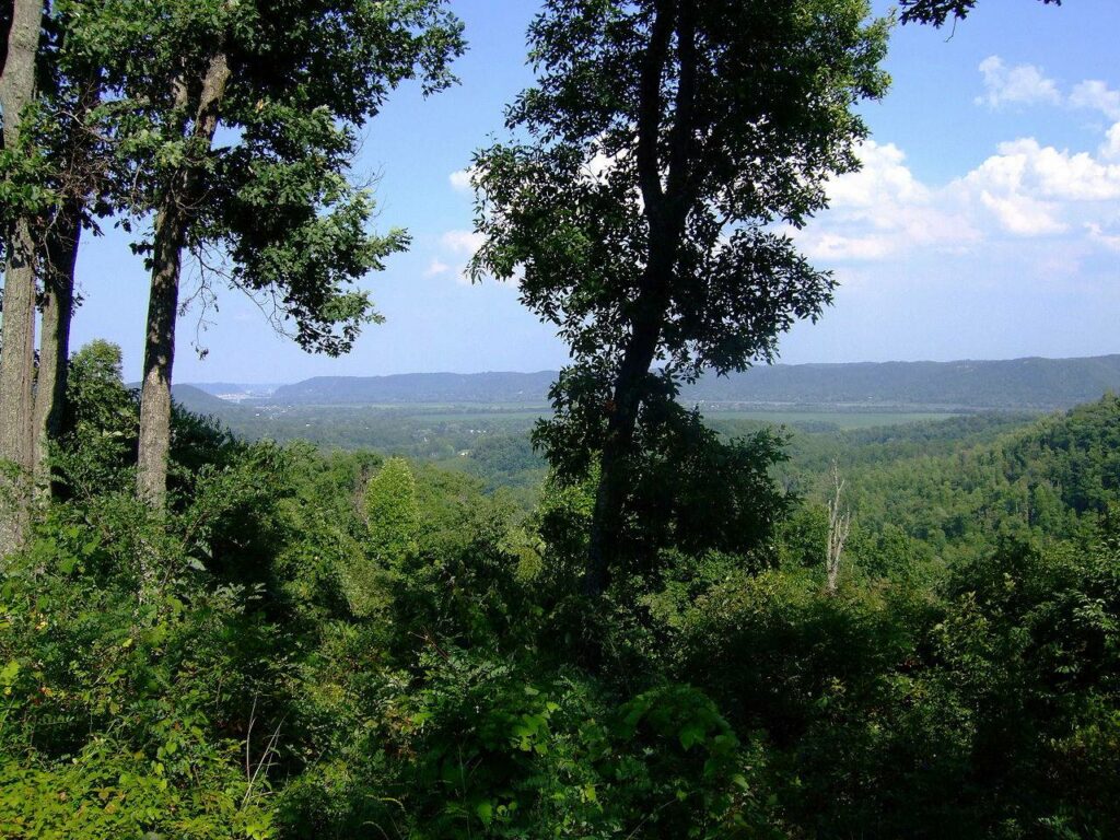 Scenic overlook of forested vista at Shawnee State Forest