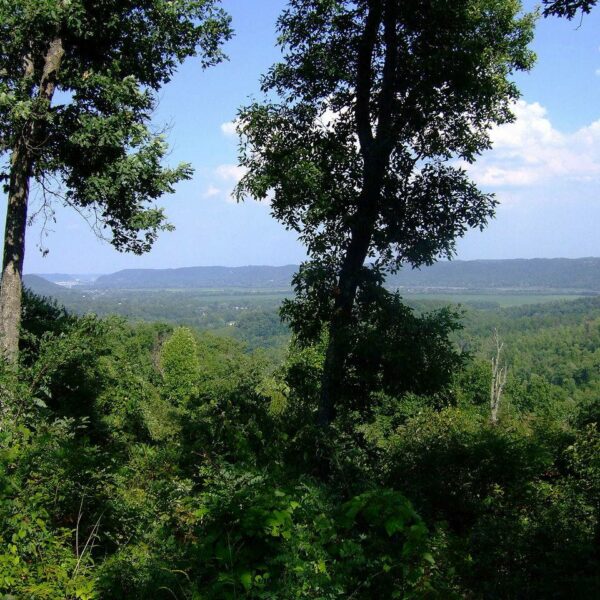 Scenic overlook of forested vista at Shawnee State Forest