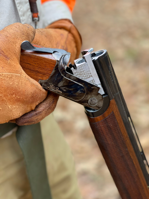 Actions Speak Louder Than Words: How to Choose the Best Shotgun