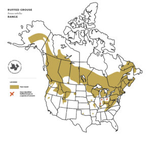 Grouse Facts New - RGS