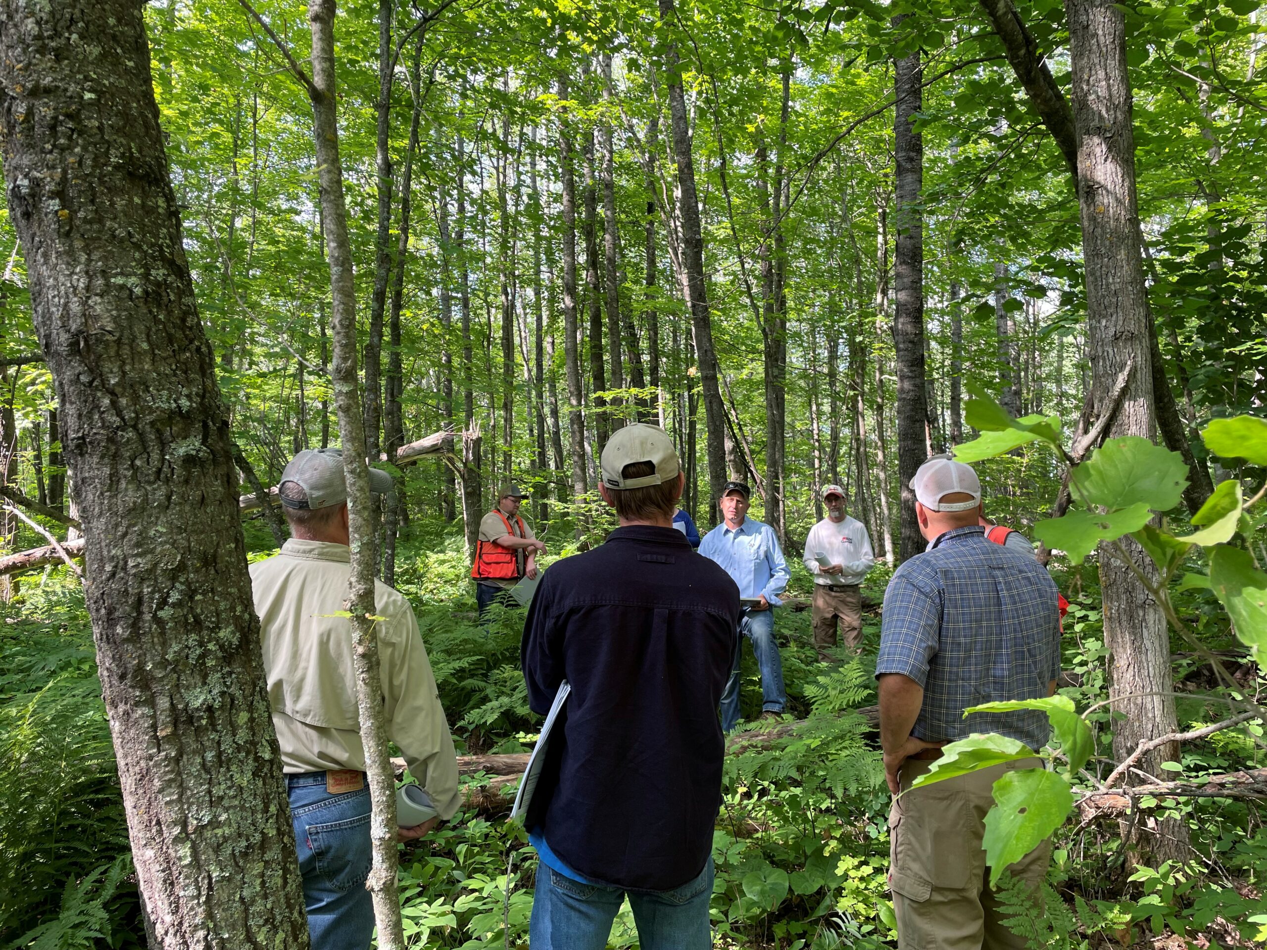 A Field Tour of Early Successional Habitat Improvement Projects in