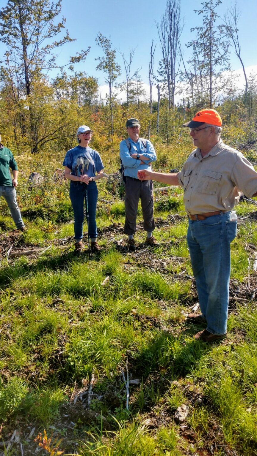 Know Your Cover Northeastern Us Forests Rgs