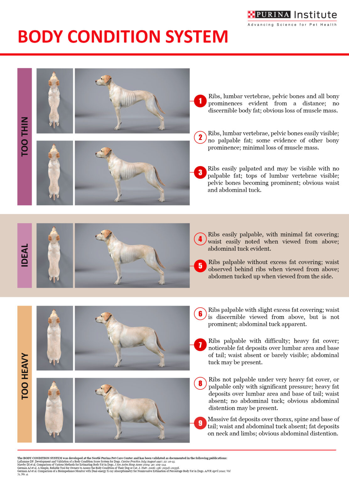 Purina - Body Condition System - RGS