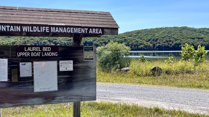 Laurel Bed Lake at Clinch Mountain Wildlife Management Area in Virginia
