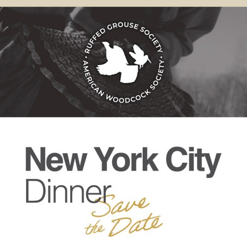 NYC-Dinner_Save-the-Date_01